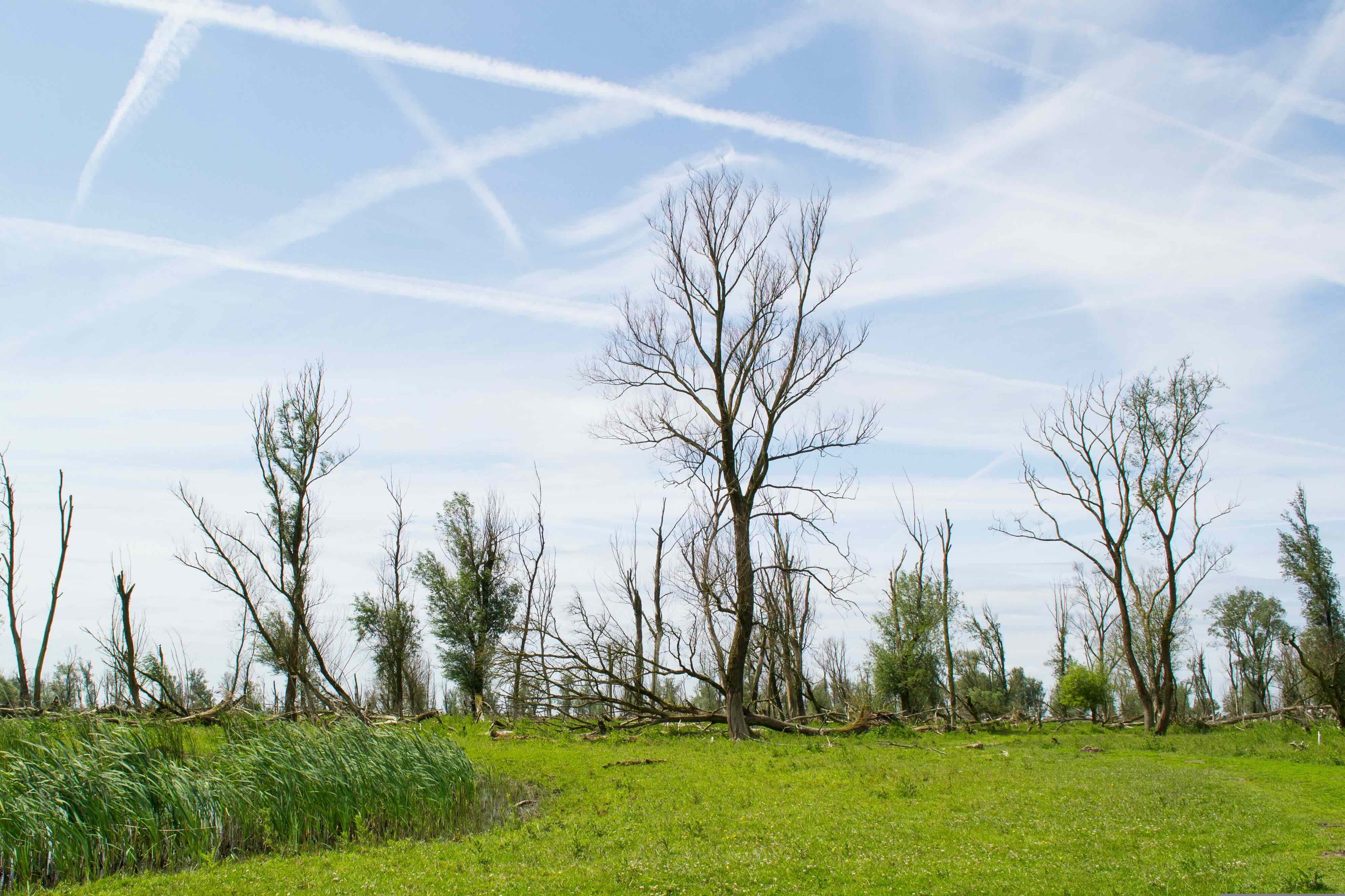Gratis lezing over natuur en beheer van de Oostvaardersplassen in Vlijmen